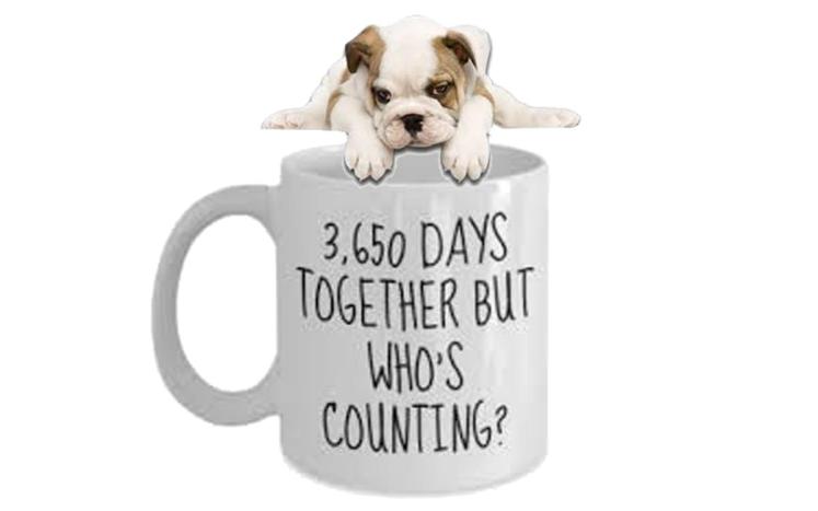 whosecounting3